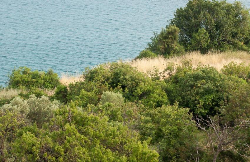 Ποδηλασία Μάκρη - Μαρώνεια - Π.Ε. Έβρου 2