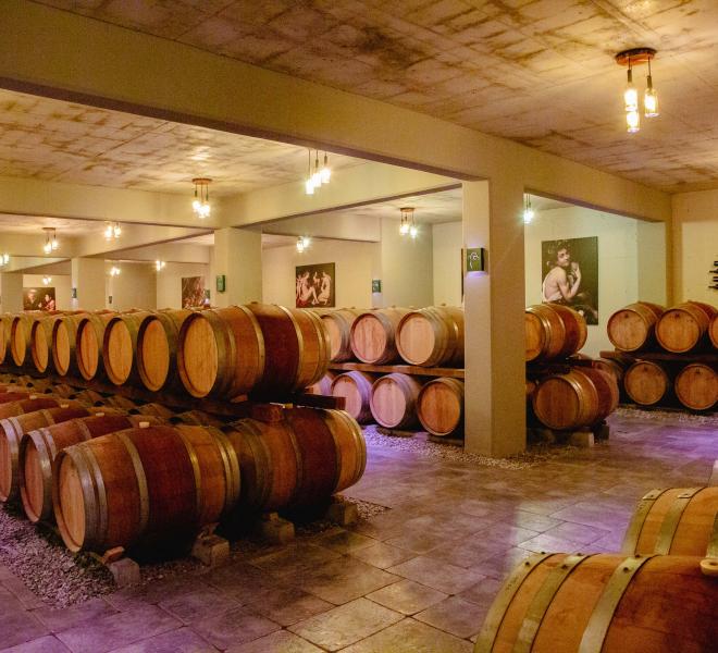 Large Wineries in the Municipalities of Prosotsani, Doxato, Drama, and Paranesti 8