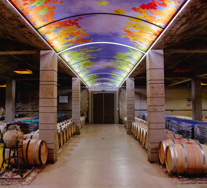 Large Wineries in the Municipalities of Prosotsani, Doxato, Drama, and Paranesti 1