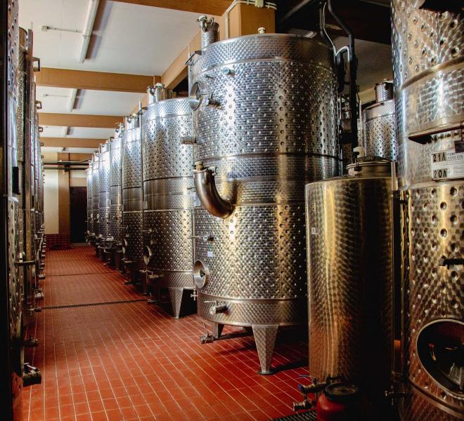 Large Wineries in the Municipalities of Prosotsani, Doxato, Drama, and Paranesti 2