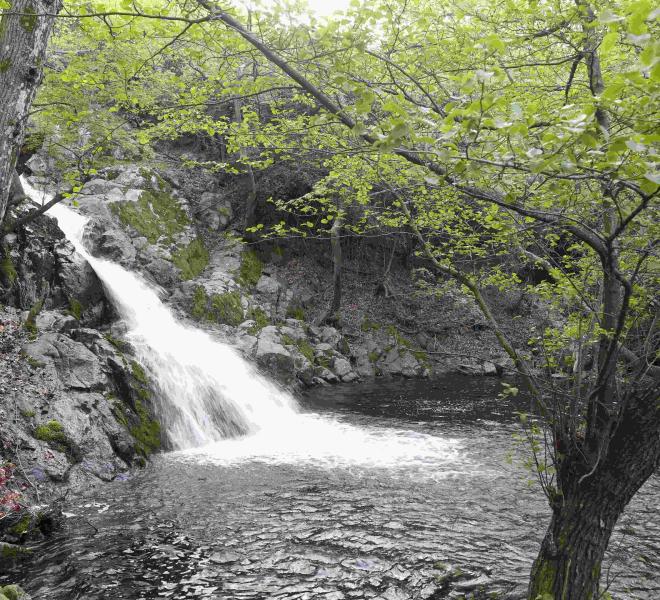 Vathres (Fonias, Gria Vathra) 4