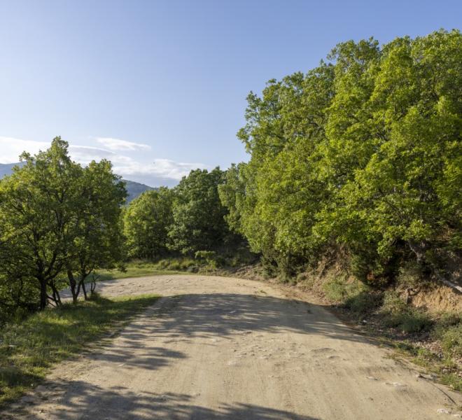 Nestos River: Canoeing, rafting, sup, ZipLine, archery, climbing, horseback riding 4