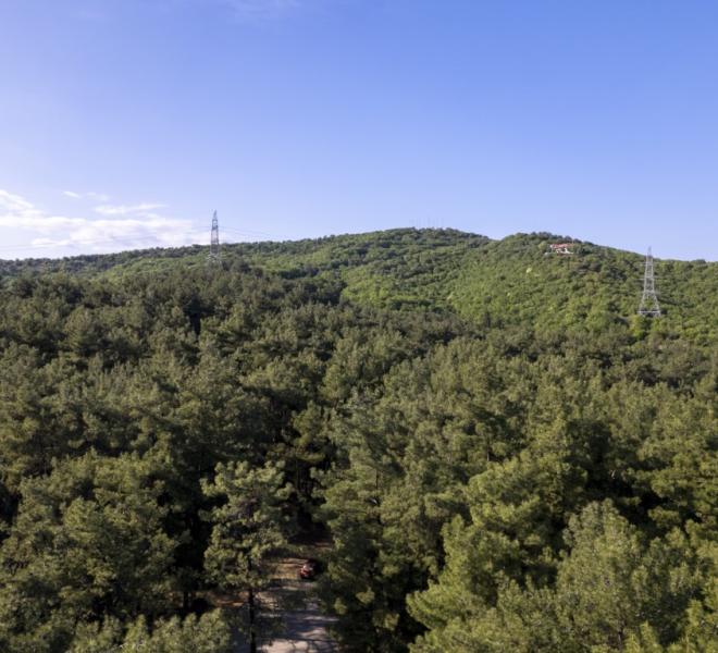 Nestos River: Canoeing, rafting, sup, ZipLine, archery, climbing, horseback riding 8