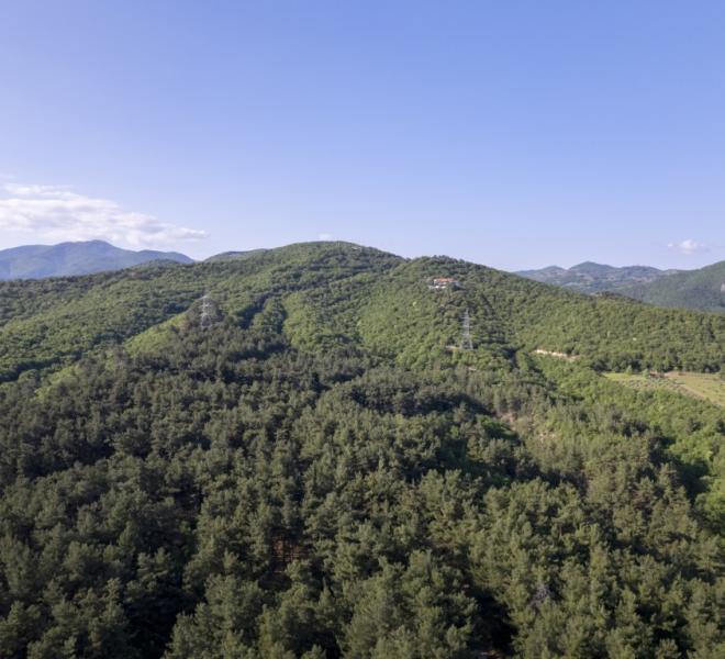 Nestos River: Canoeing, rafting, sup, ZipLine, archery, climbing, horseback riding 10