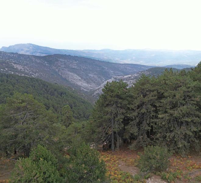 Mount Ipsarion - Overlooking the Port  4