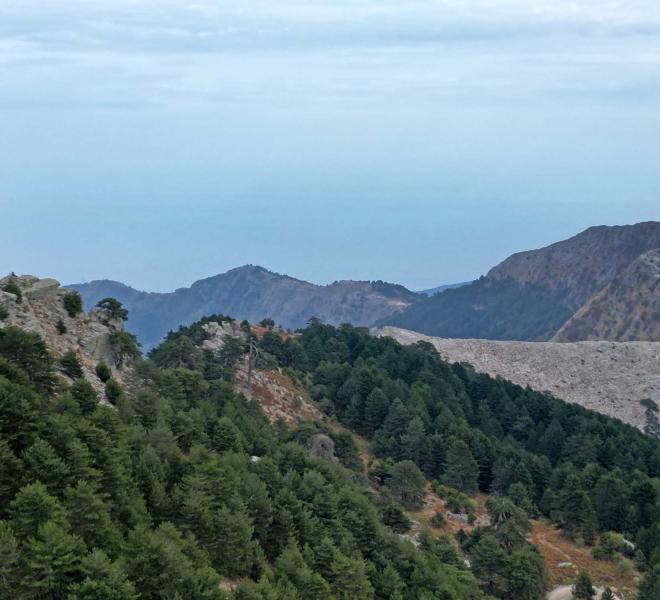 Mount Ipsarion - Overlooking the Port  6