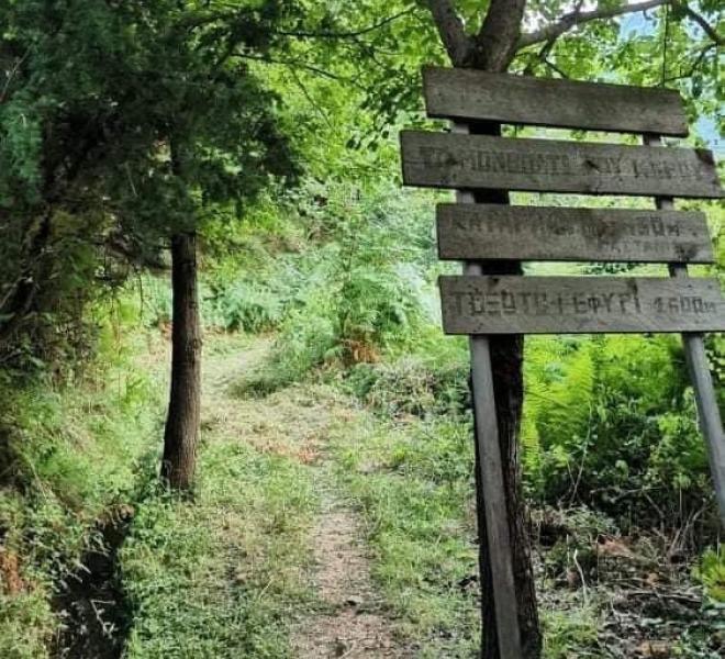Mountain Trails in Nikisiani 3