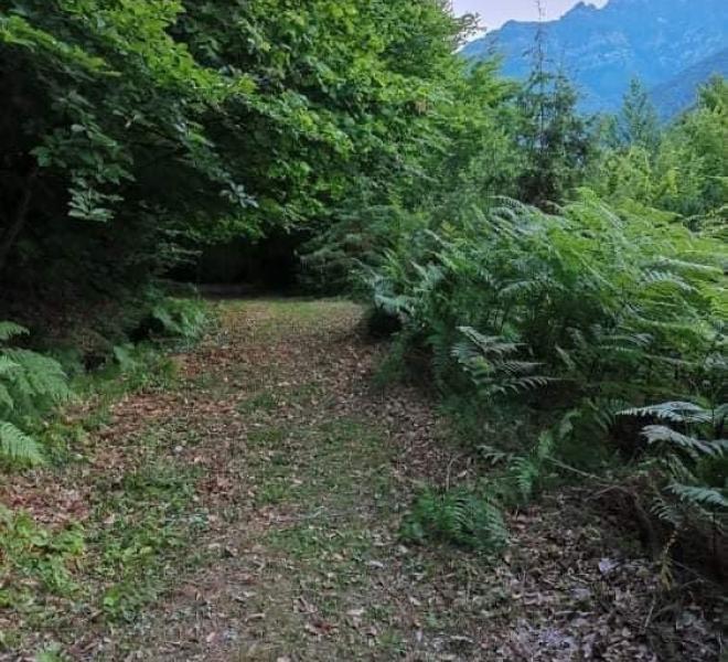 Mountain Trails in Nikisiani 4