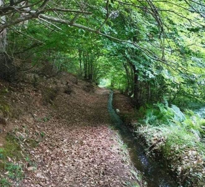 Mountain Trails in Nikisiani 2