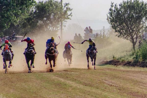 Doxato Horse Racing