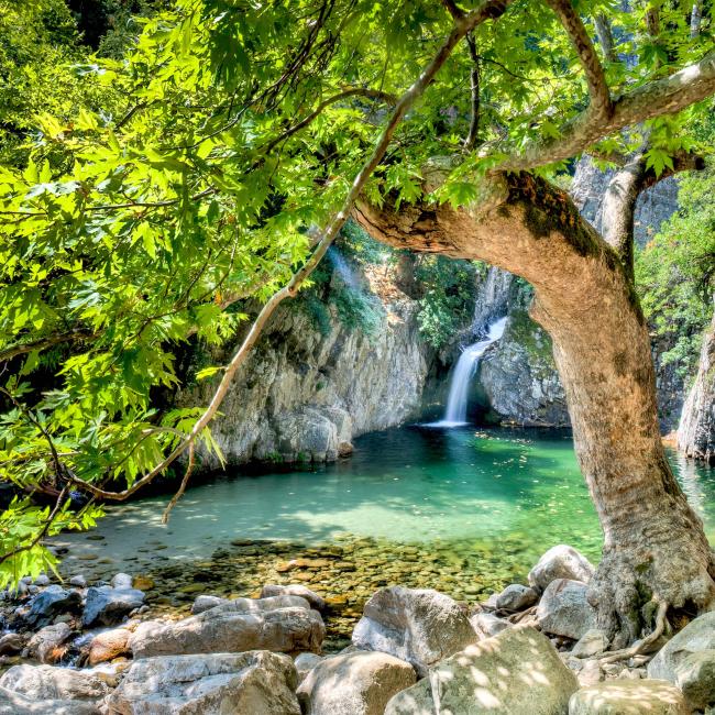 Vathres (Fonias, Gria Vathra)