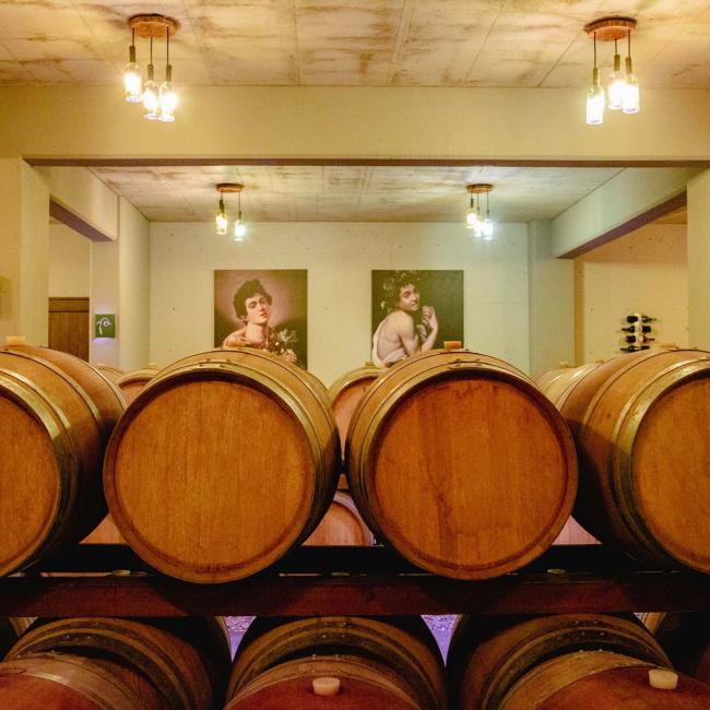 Large Wineries in the Municipalities of Prosotsani, Doxato, Drama, and Paranesti